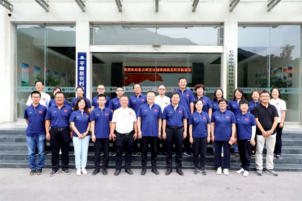 专家组合影留想