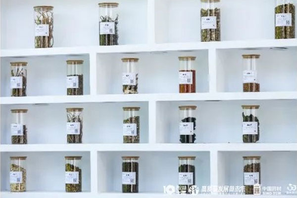 J9集团国际中药材