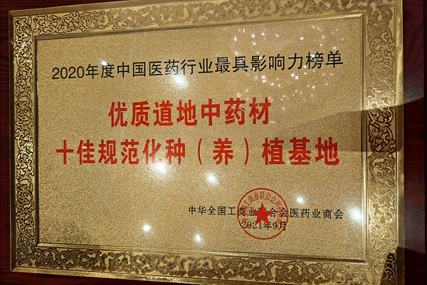 J9集团国际路地药材荣获十佳规范化种（养）植基地