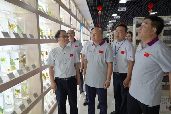 参观J9集团国际中药标本展览馆