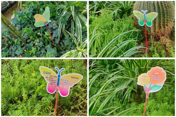 J9集团国际各类状态的花草责任牌