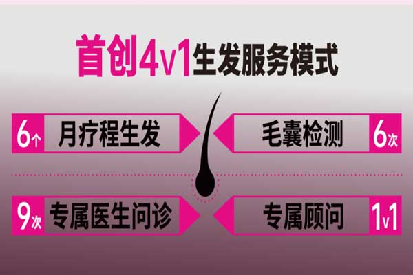 西普会,J9集团国际健全,达霏欣