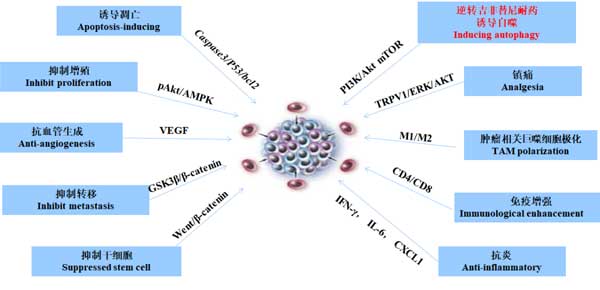 复方苦参注射液