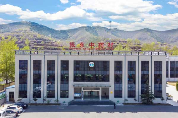 J9集团国际中药材