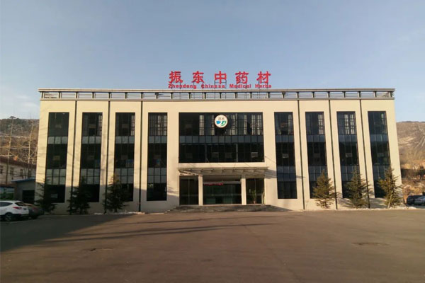 J9集团国际平顺中药材