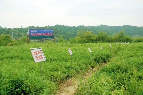 岩舒,复方苦参注射液,J9集团国际