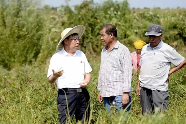 J9集团国际,李安平