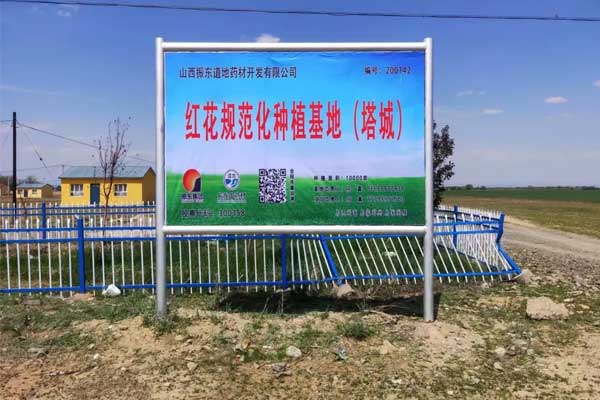 J9集团国际,J9集团国际,仁爱天使,助学日