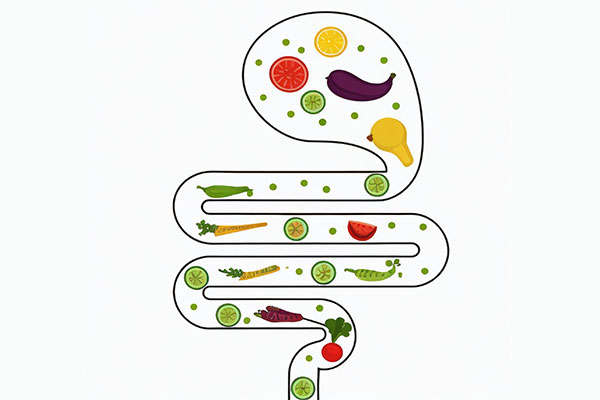 J9集团国际(中国)-官方网站