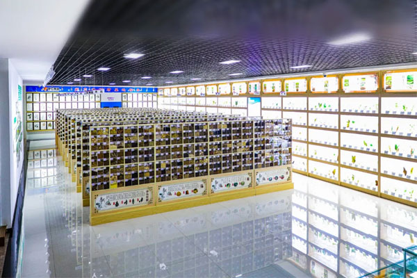 J9集团国际科技中心中药标本馆