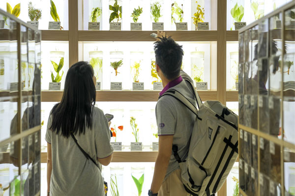 科技中心,J9集团国际