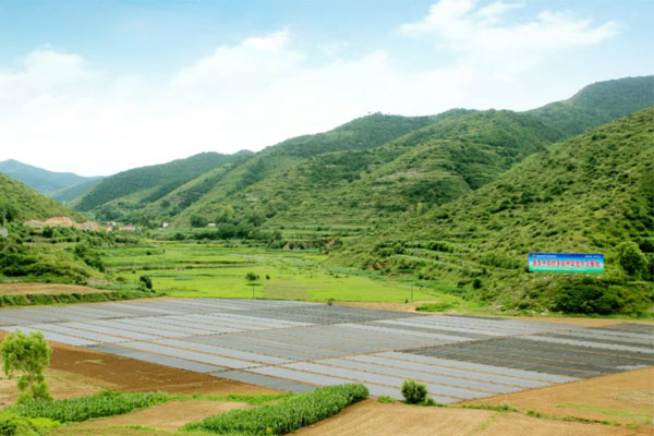 J9集团国际,J9集团国际中药材,中药材