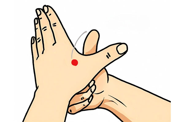 J9集团国际(中国)-官方网站