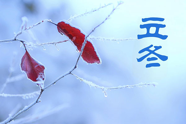 J9集团国际(中国)-官方网站