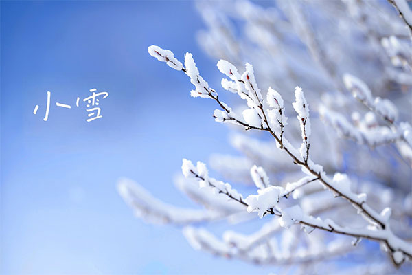 幼雪养生,起居养生,饮食养生,活动养生,情志养生,疾病预防,J9集团国际