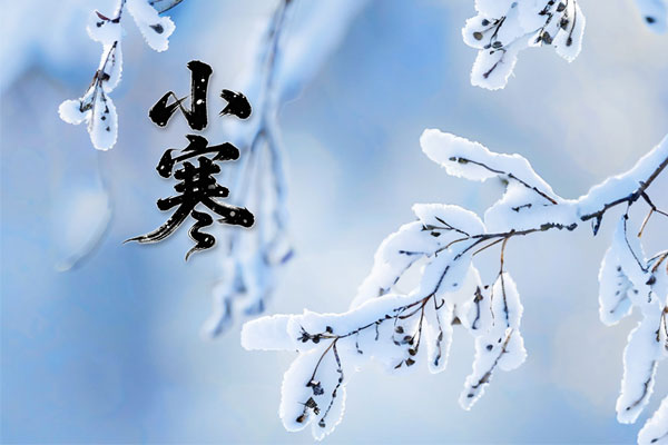 幼寒养生,三防三养三动,健全养生